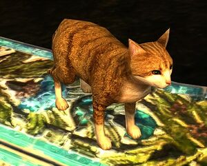 Image of Smelly Cat