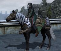 Image of Steed of the Minas Ithil Hero