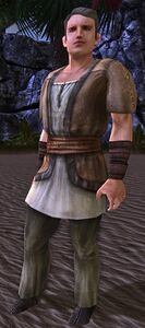 Image of Unsettled Sightseer