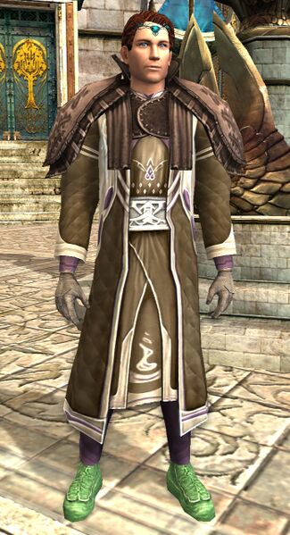 File:Dol Amroth Quartermaster - Brandarth - (Lore-master Armour).jpg