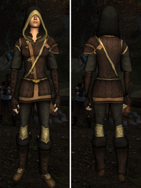 File:Erebor Burglar's Armour Full Set.png