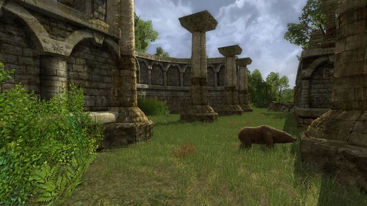 Inside the ruined fort
