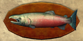 20-pound Salmon