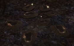 Image of Conspicuous Bootprints