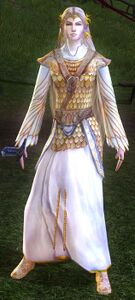 Costume of Battle-ready Galadriel