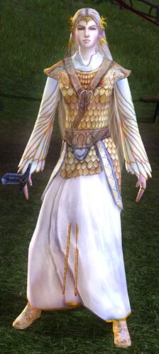 Costume of Battle-ready Galadriel