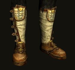Elegant Leather Boots