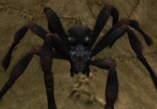 Gamnagol Spider Appearance