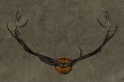 Large Rohan Antlers