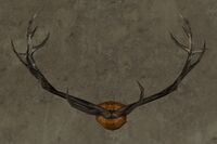 Large Rohirric Antlers