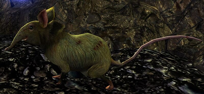 File:Shrew Burglar.jpg