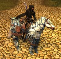 Image of Steed of Crystal Resolve
