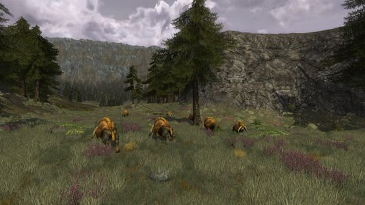 Aurochs grazing in northern Rhunenlad