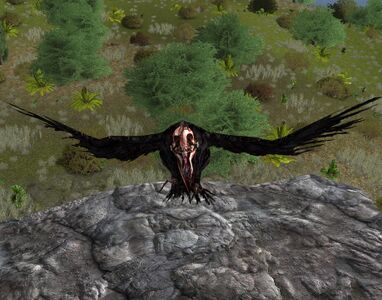 Bel Inzûl Proto-crow