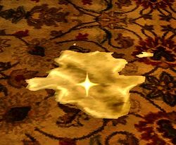 Image of Dirty Floor