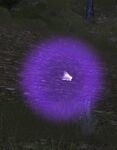 Purple Firefly