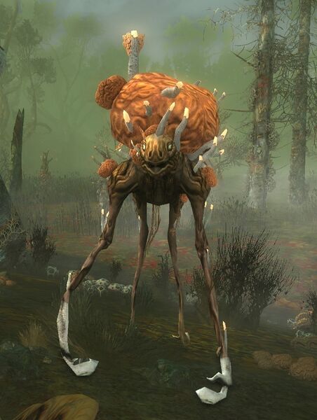 File:Adagím Fen-roamer.jpg