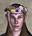Circlet of Fresh-picked Flowers