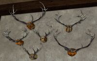 Group of Rohirric Antlers