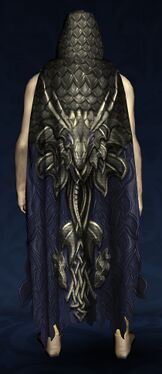 Hooded Cloak of the Reminiscing Dragon