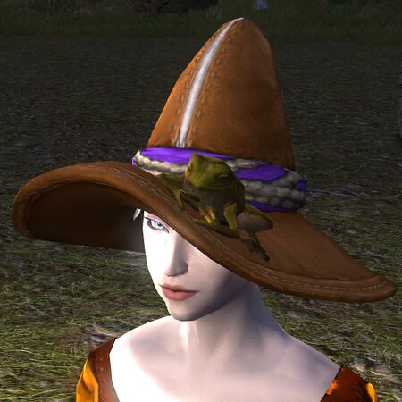 Front view, with Frog effect (Must be equipped)
