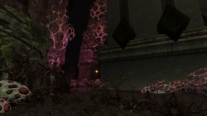 Passway towards Zamâktar.