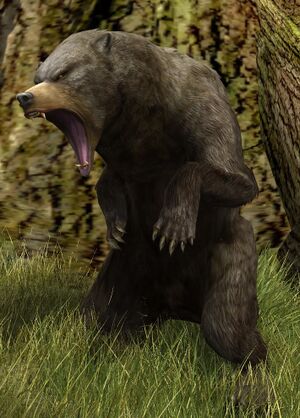 Feral Brown-bear.jpg