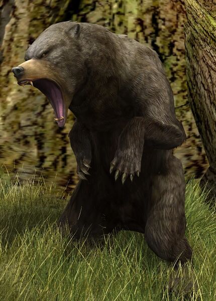 File:Feral Brown-bear.jpg