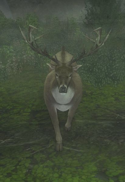 File:Forest Buck (Eryn Lasgalen).jpg