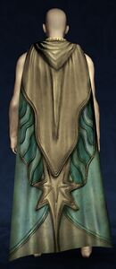 Cloak of the Silver Star