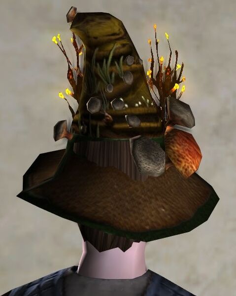 File:Hat of the Mushroom Hunter back.jpg