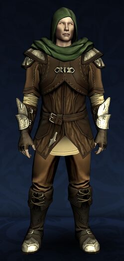 Salvaged Elven-made Set (Medium)
