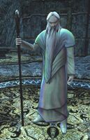 The Wizard Saruman looks like a Man, but as a rare sort of ancient being turned to evil he is classified as Nameless.