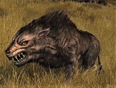 Wold Warg Pack-runner - Lotro-Wiki.com