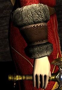 Gloves of the Highest House side