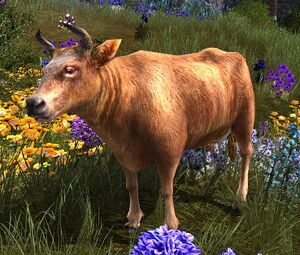 Image of Lost Burukíri Cow
