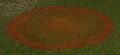 Thumbnail for version as of 14:18, 19 August 2025