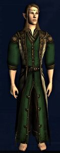 Vestments of the Northern Sky