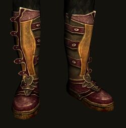 Bree-lander's Leather Boots