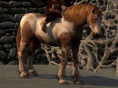 Tobiano Coat: Blood Bay