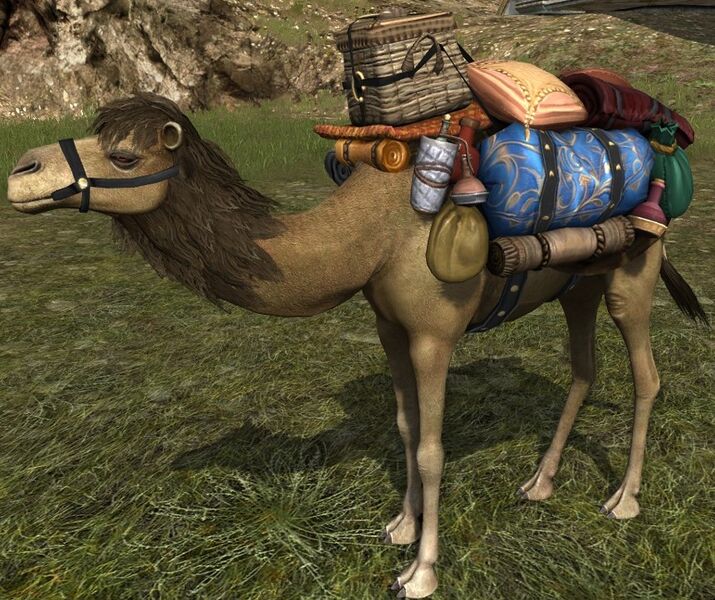 File:Caravan Trade Goods Camel (side).jpg