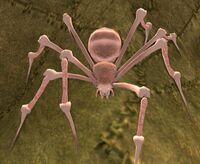 Skinny Pale Appearance