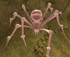 Skinny Pale Appearance Monster Player Reward Track - Cosmetic Choice Box (Season 3)