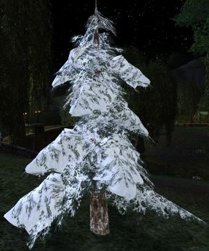 Snowy Pine Tree
