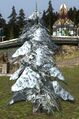 Snowy Pine Tree