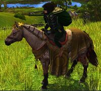 Steed of the Blazing Firmament (Pony)