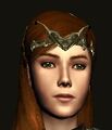 Circlet of Adamant