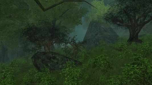 Corrupted huorns at the Forlorn Glade