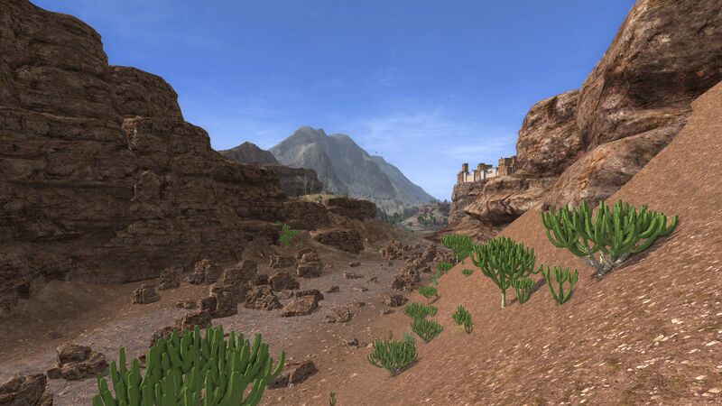 File:Usâl cacti.jpg