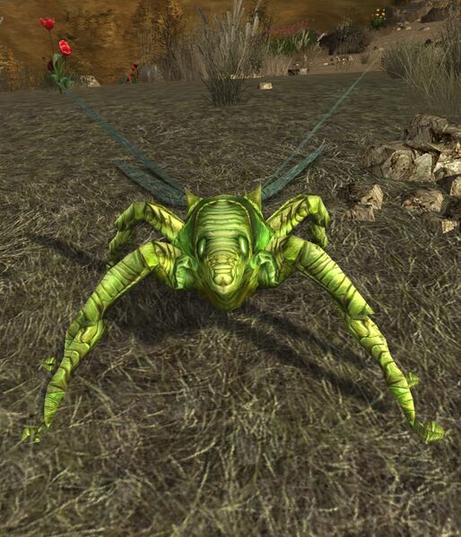 File:Biting Zizanu (Kighân).jpg